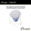 Champion Sports Target Net
