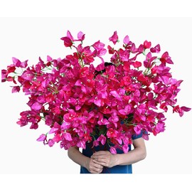 Dophinena Artificial Bougainvillea Flower Stems Silk Flowers Arrangement for Home Wedding Indoor Outdoor Decorations Table Centerpiece - 6pcs (Fuchsia)