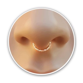 Fake septum Ring - Fake Nose Ring - Fake Piercings - 20 Gauge Septum Ring