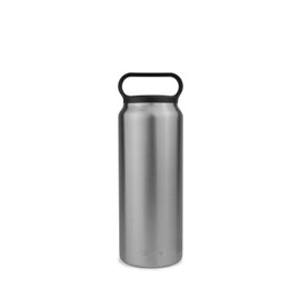 GiiVEN 24 oz. Bottle, Stainless Steel