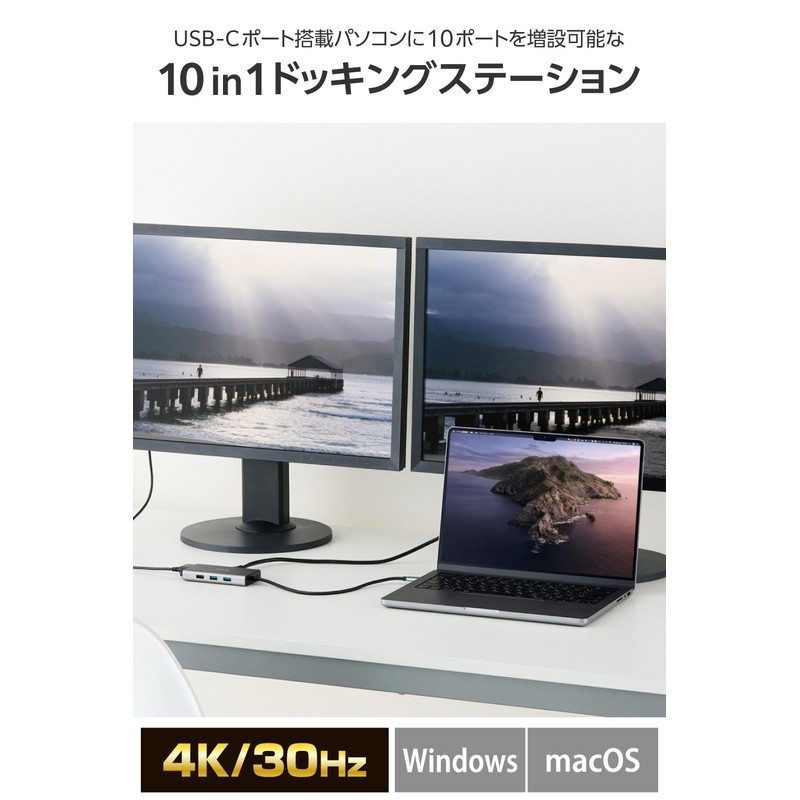 Elecom DST-W15 USB-C Hub Docking Station 10 in 1 Dual
