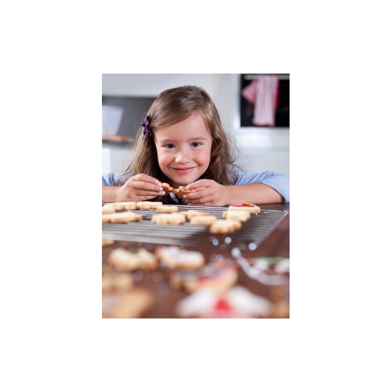 Original Kaiser Domestic Animals Cookie Cutters ~ Set of 6!