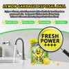 ifbaby 50 Count Garbage Disposal Cleaner and Deodorizer – Sink