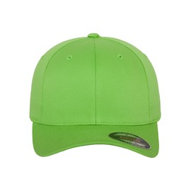 Flexfit Unisex Adult Wooly Combed 6277 Beanie, Fresh Green, XXS/XS