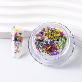 Dried Flowers Nail Art 3D Nail Dried Flowers Sticker Mini Dry Flowers Colorful Tiny Dried Flowers Nails for Crafts DIY Summer Nail Art Decorations for Women Girls 1Box