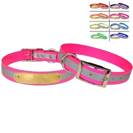 Warner Brand Reflective Dayglo Dog Collar Free Engraved Brass ID tag (Pink 19")