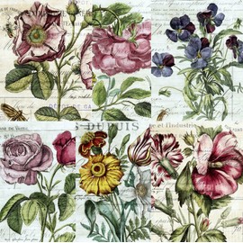 Botanical Theme Mulberry Rice Paper, 20.5 x 26.5cm - 6 x Different Printed Mulberry Paper Images 30gsm Visible Fibres for Decoupage Crafts Mixed Media Collage Art