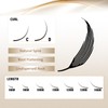 FADVAN Premade Anime Spire Lash Extensions for Professional Lash Artists,