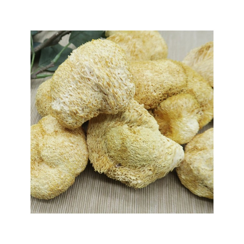 200g dried Helicopteric mane mushrooms, Helicopteric mane mushroom tea /