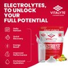 Vitalyte Vitalyte Electrolyte Powder Drink Mix, Isotonic Electrolyte Hydration Mix,