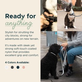 DIGGS Waterproof Dog Leash - Soft Coated Nylon Heavy Duty Dog Leash - Easy to Clean, Durable Puppy Lead - Standard 6ft, Charcoal