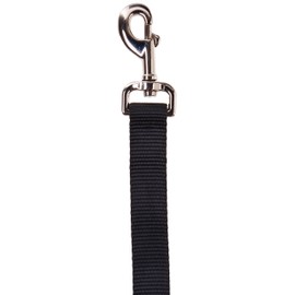 Coastal Pet Products DCP906BLK Nylon Single Layer Dog Leash, 1-Inch by 6-Feet, Black