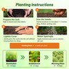 Outsidepride Kochia Trichophylla Burning Bush Seeds - 5000 Count (Vibrant