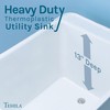 Space Saver Utility Sink by JS Jackson Supplies, Pull-Out Faucet,