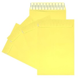 100 Minas Envelope 6" x 9" Catalog Envelopes, Peel & Seal Flap, Sturdy 24lb. Paper, 100 Count (Canary/Yellow)