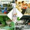 Mighty Mint Peppermint Oil Mouse Repellent Spray – Natural Indoor