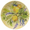 Certified International Lemon Zest 2 pc Melamine Platter Serving Set,