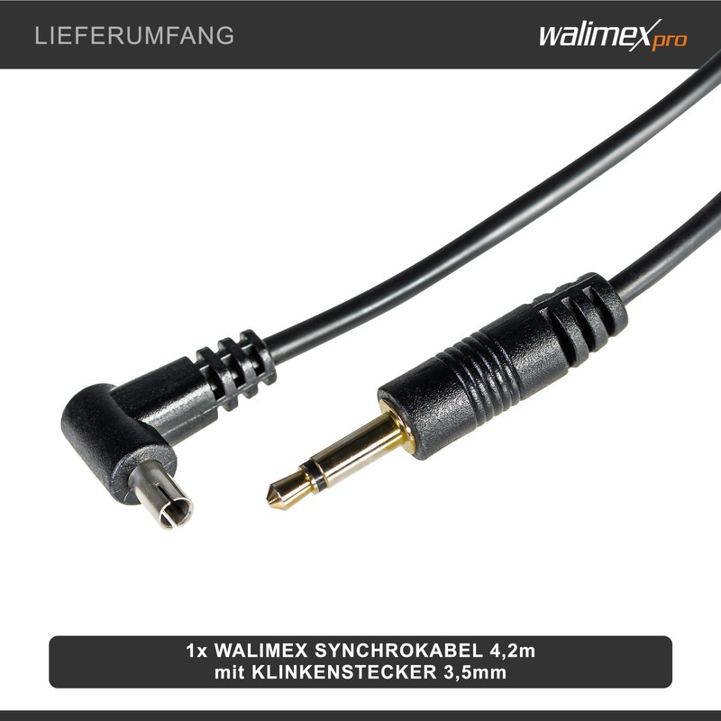 Walimex Synchro Cable - 17 x 8 x 4200 mm