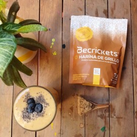 BeCrickets Harina de Grillo | 300 g | 30 cucharadas | Prebióticos Naturales