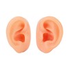 Silicone Ear Model Human Artificial Ear Display for Hearing Aids