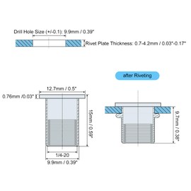 sourcing map 1/4-20 Rivet Nuts, 30pcs 304 Stainless Steel Knurled Flat Head Threaded Insert Nuts for Metal, Plastic