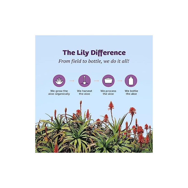 Lily Of The Desert Gel Aloe Vera, 32 oz