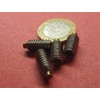 18-8 Stainless Steel Brass Tip Set Screw 1/4"-20 x .500"