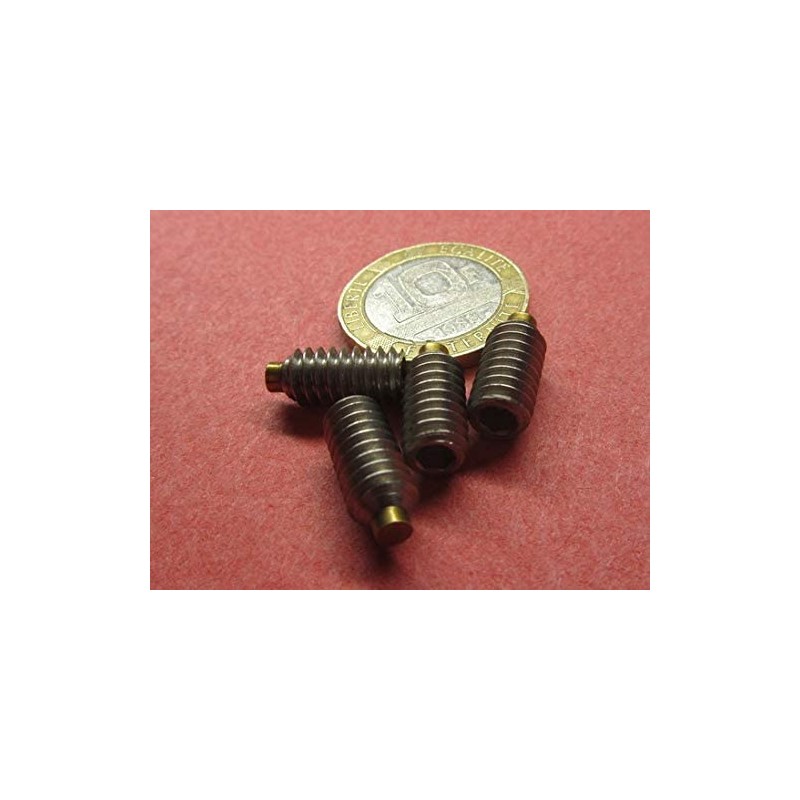 18-8 Stainless Steel Brass Tip Set Screw 1/4"-20 x .500"