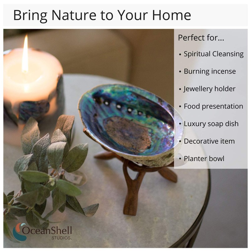 Natural Abalone (Pāua) Shell, with Stand,6-6.5 Inches,Supreme for Smudging,Cleansing Home,Meditation,Shell