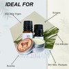 Grass-Fed Beef Tallow Balm with Beeswax & Honey | Natural