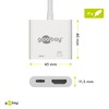 Goobay 62110 USB-C HDMI Adapter, 4k 60 Hz, White