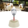 Pet Standing Water Dispenser 2 in 1 Cat Dog Standing