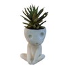 Tianbi Head Planter Pot,Luminous Face Planter Pot, Cactus Planter,Cute Resin