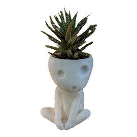 Tianbi Head Planter Pot,Luminous Face Planter Pot, Cactus Planter,Cute Resin Succulent Planter Flowerpot for House Office Decor