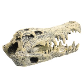 GRIRIW Resin Dinosaur Skull Statue Decorative Figurine for Home Office Decor Premium Quality Desktop Dinosaur Skull Ornament Unique Present Chic Landscape Decoration