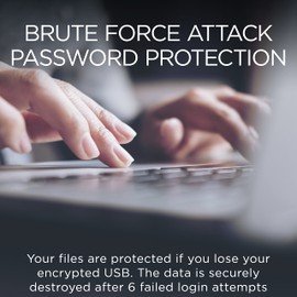 Integral 16GB Crypto-197 256-Bit 3.0 USB Stick Encrypted - USB Stick Password Protected - FIPS 197 Certified - Protection Against Brute-Force Attacks - Robust, Double Layered, Waterproof Design