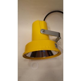 Phoenix Products CFL Dock Light DLP.40SBFL Lamp included