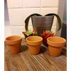3Pk 2.5" Terra Cotta Pot
