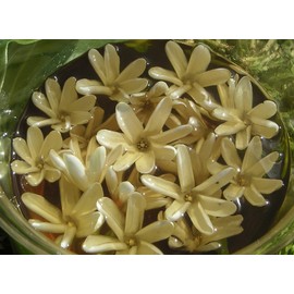 Luxuriant-Sparkle Beauty Products Mono'i de Tahiti'- Double Tiare' Scent-100% Natural-LIMITED EDITION 2 sizes (32 oz)