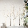 Raz 30 Inch Lighted Birch Grove NEW with Twinkle Lights