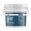 Earthborn Elements Fine Sea Salt, 1 Gallon Bucket, Sourced from