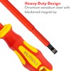 BILITOOLS Insulated Screwdriver Set, 1000V Electrical Screwdriver Insulated VDE Tools