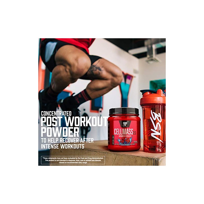 BSN CELLMASS 2.0 - Arctic Berry, 1.09 lb (50 Servings)