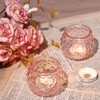 DARJEN Pink Votive Candle Holders Set of 24- Round Glass