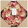 SG Wonder Zone 660-032 Wreath, 9.4 inches (24 cm), Pastel