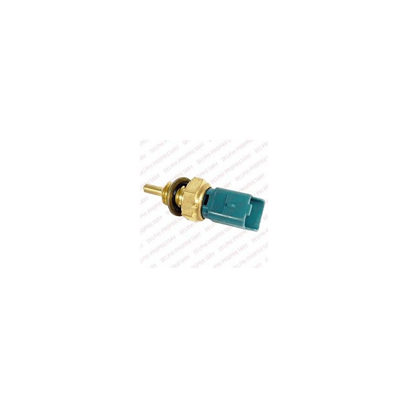 Delphi TS10218-12B1 Switch