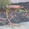 Zaer Ltd. Scallop Edge Metal Birdbath on Curved Branch Stand