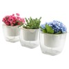 Sungmor 17.5 cm Garden Self Watering Plastic Plant Pot -
