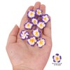 YISSION 20 Pcs Mini Hawaiian Flower Hair Pins - Cute
