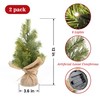 MINDELF Set of 2 Mini Christmas Tree, 12 in Pre-lit